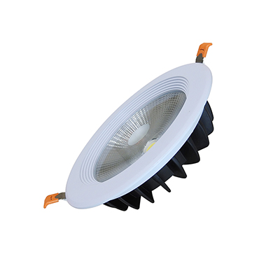 LED Down Light