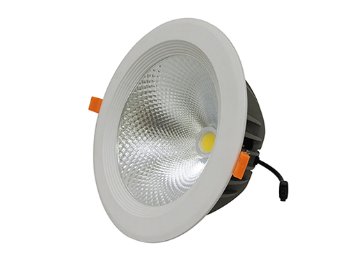 LED Down Light