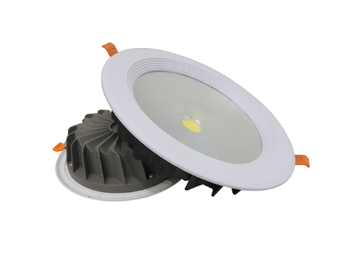 LED Down Light