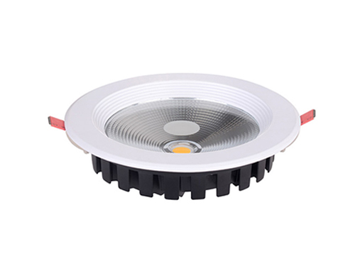 LED Down Light