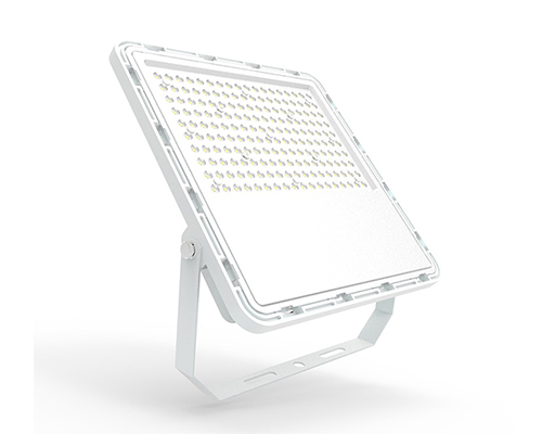 LED Flood Light